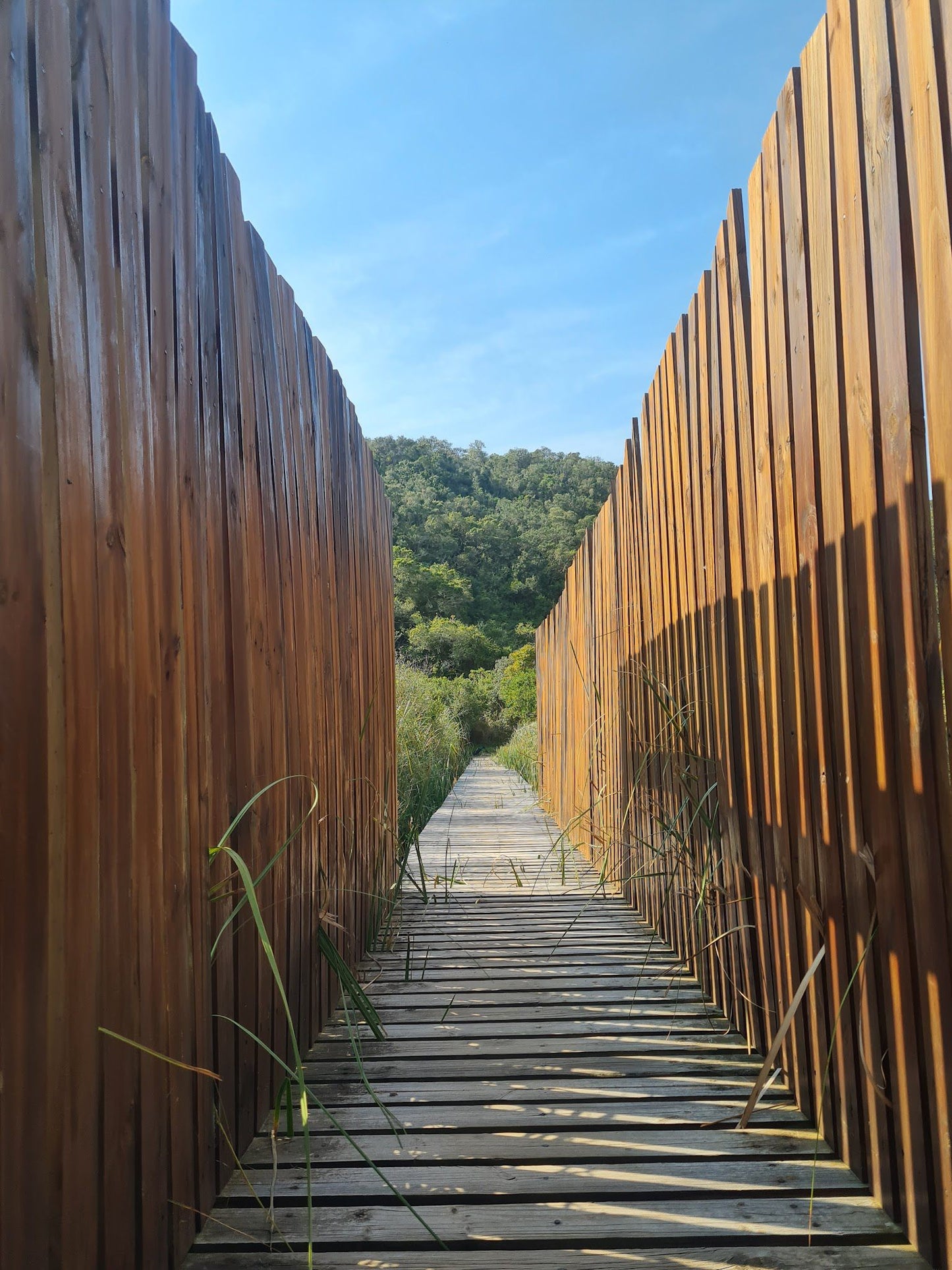  SANParks Rondevlei Bird Hide