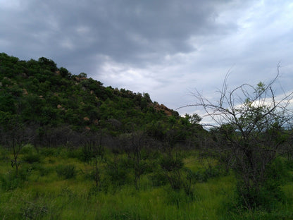  SS Skosana Nature Reserve