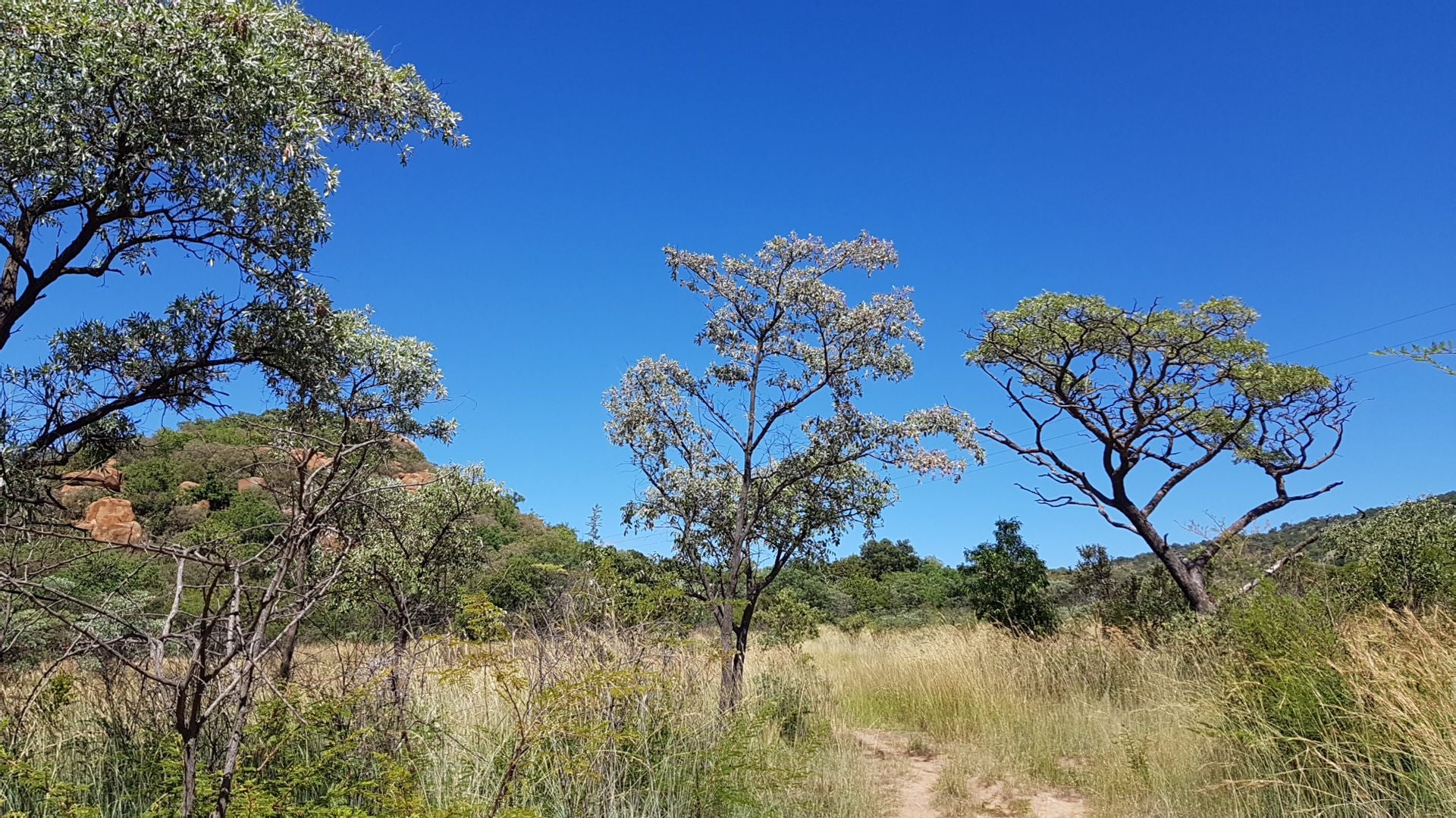  SS Skosana Nature Reserve