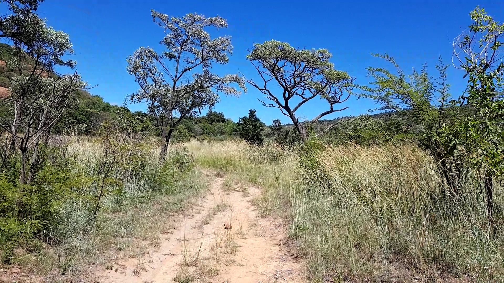  SS Skosana Nature Reserve