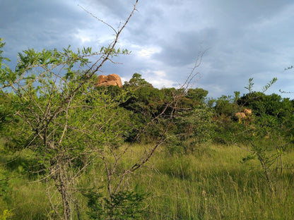  SS Skosana Nature Reserve