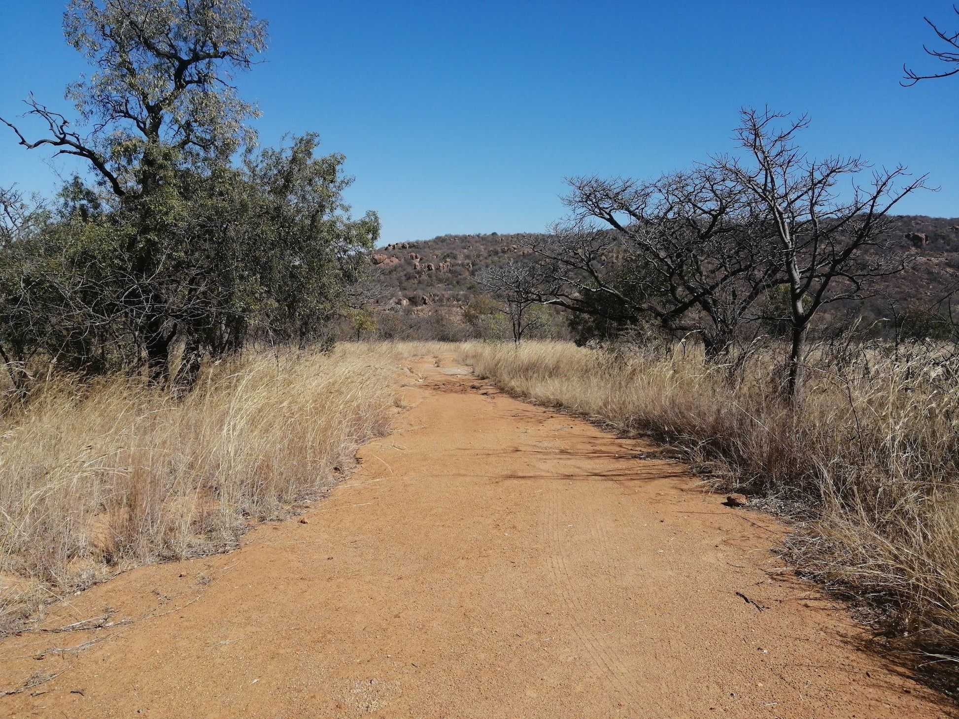  SS Skosana Nature Reserve