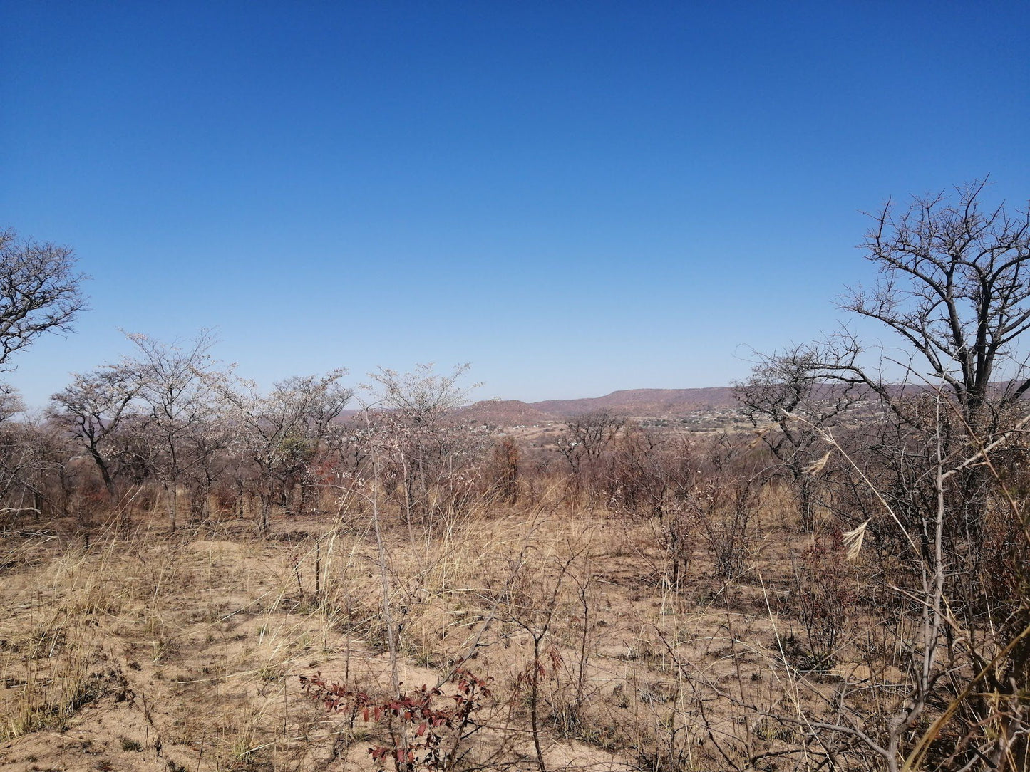  SS Skosana Nature Reserve