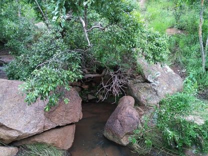  SS Skosana Nature Reserve