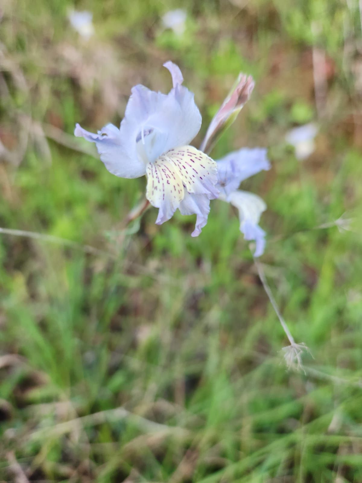  SSW Nature Reserve