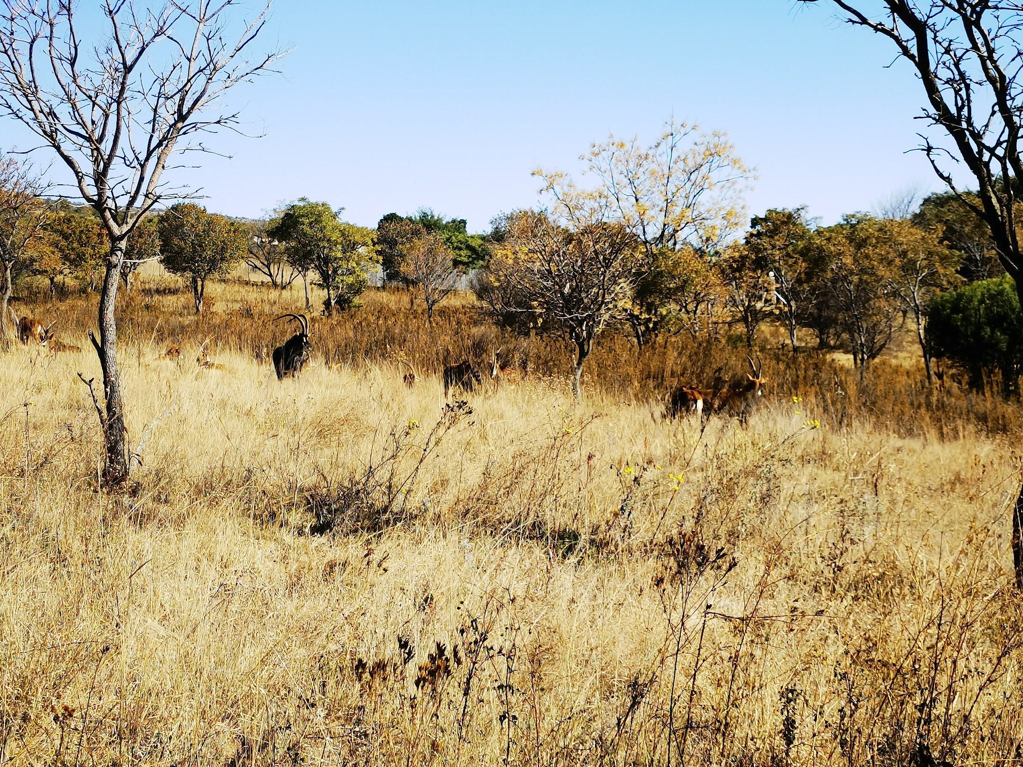  Sable Hiking & 4x4