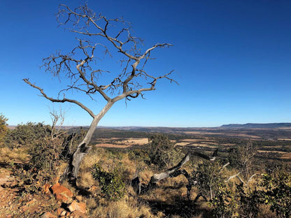  Sable Hiking & 4x4