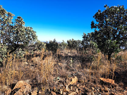  Sable Hiking & 4x4