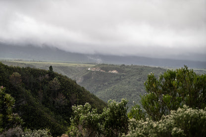 Salt River Lookout Hiking Trail