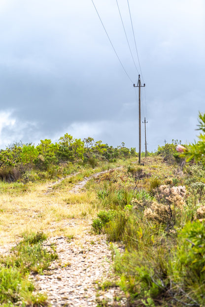 Salt River Lookout Hiking Trail