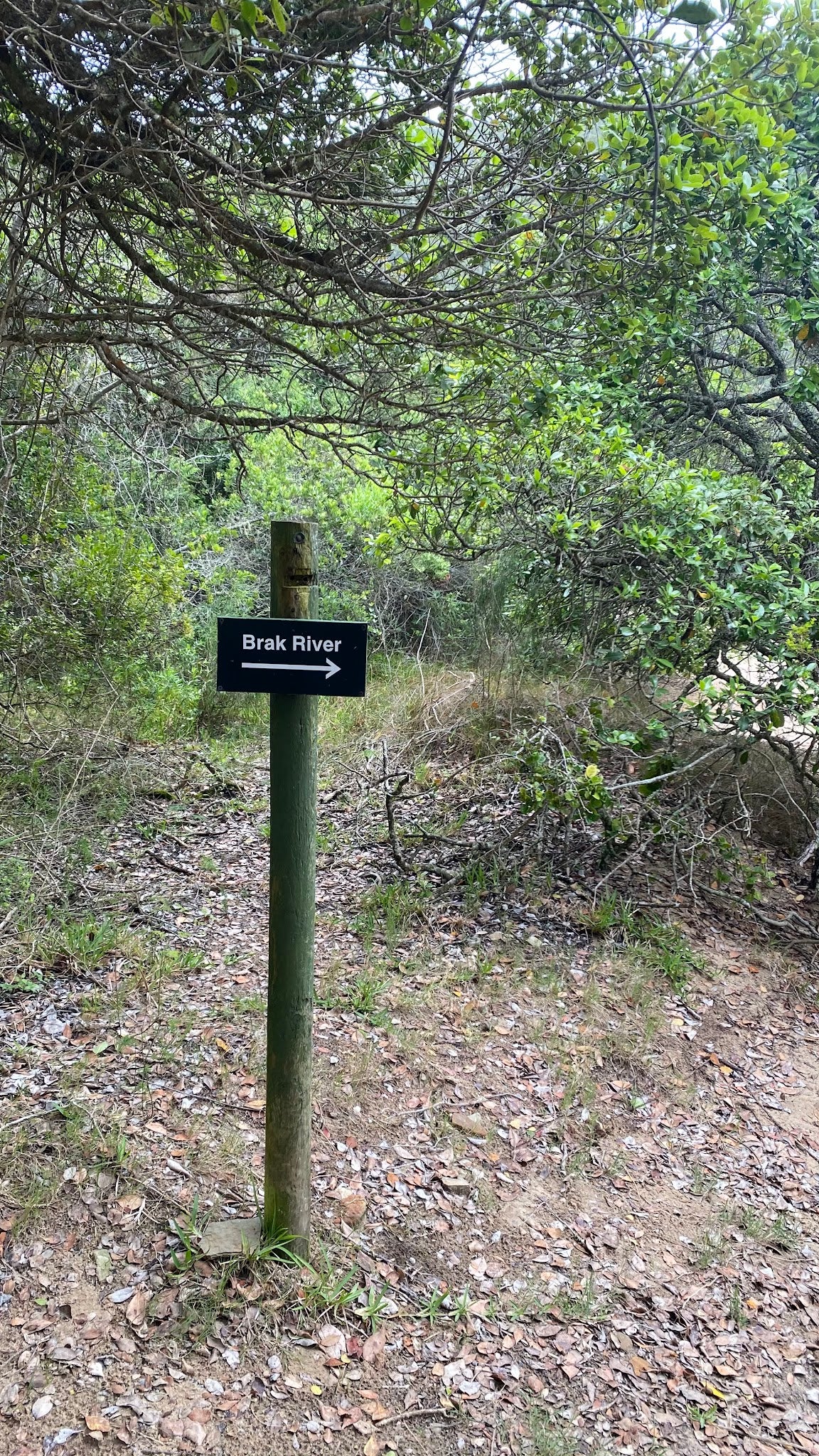 Salt River Lookout Hiking Trail