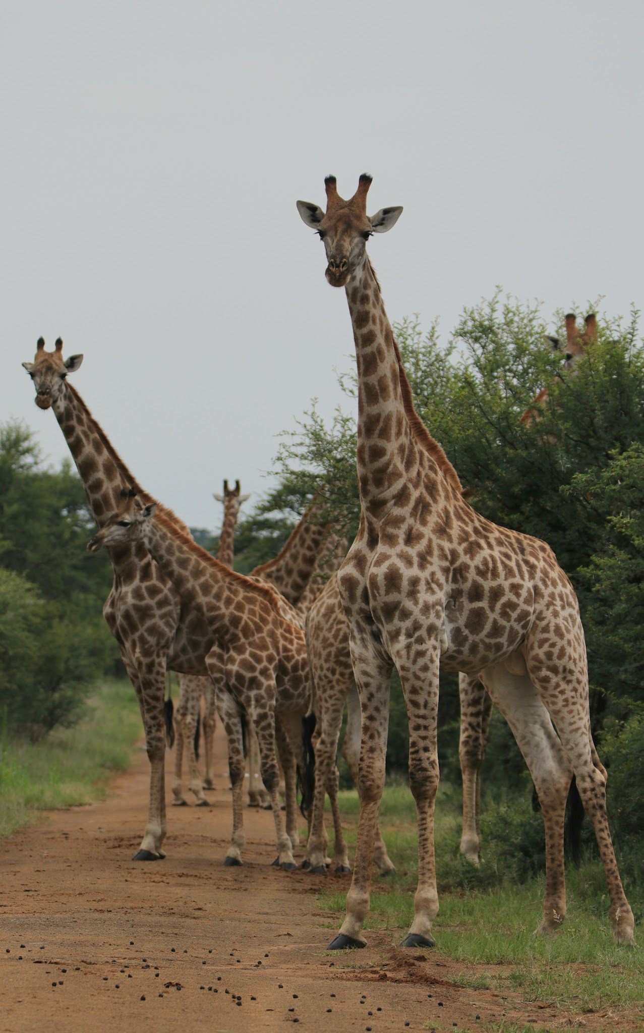  Sandveld Nature Reserve