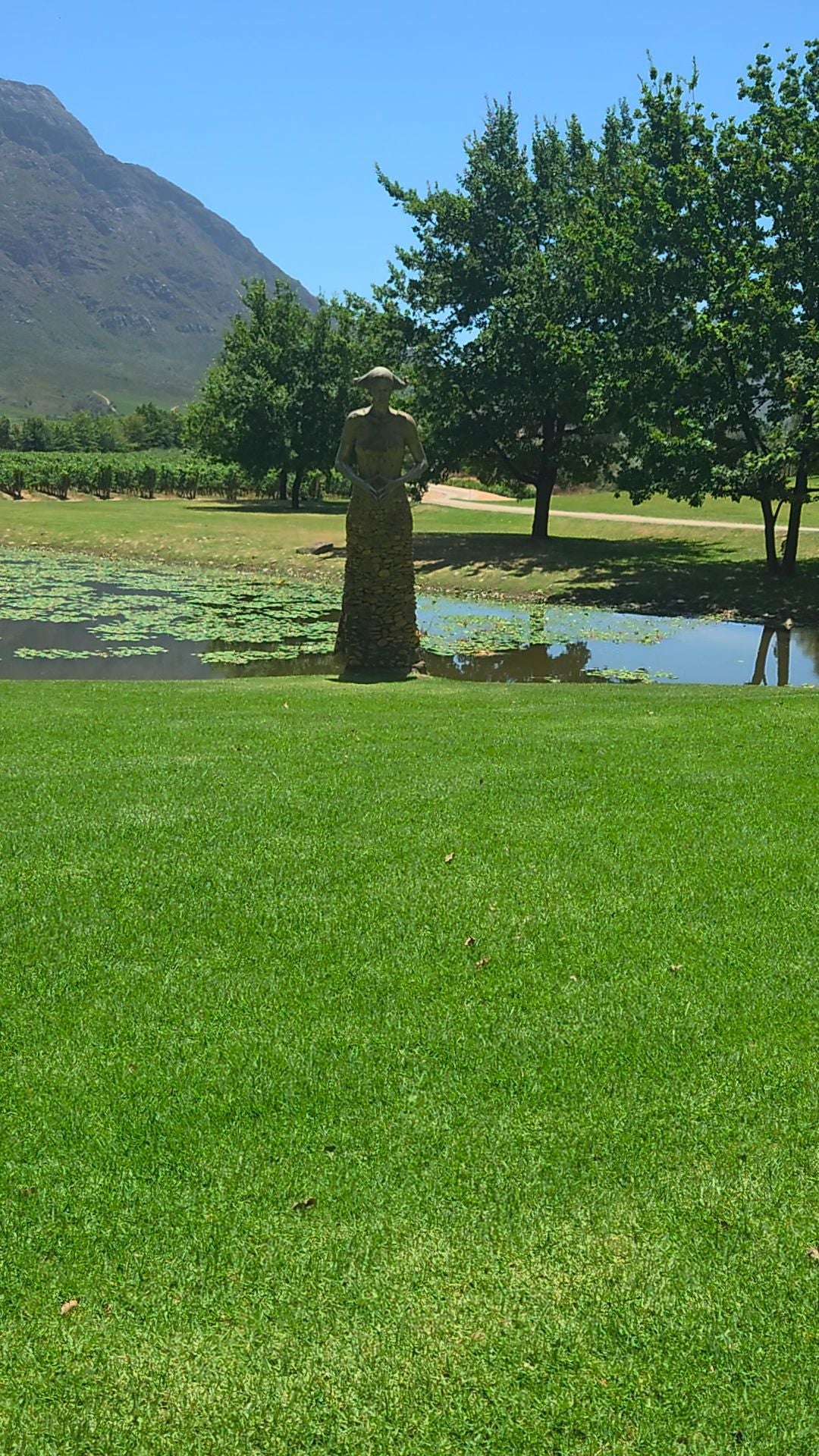  Saronsberg Wine Cellar