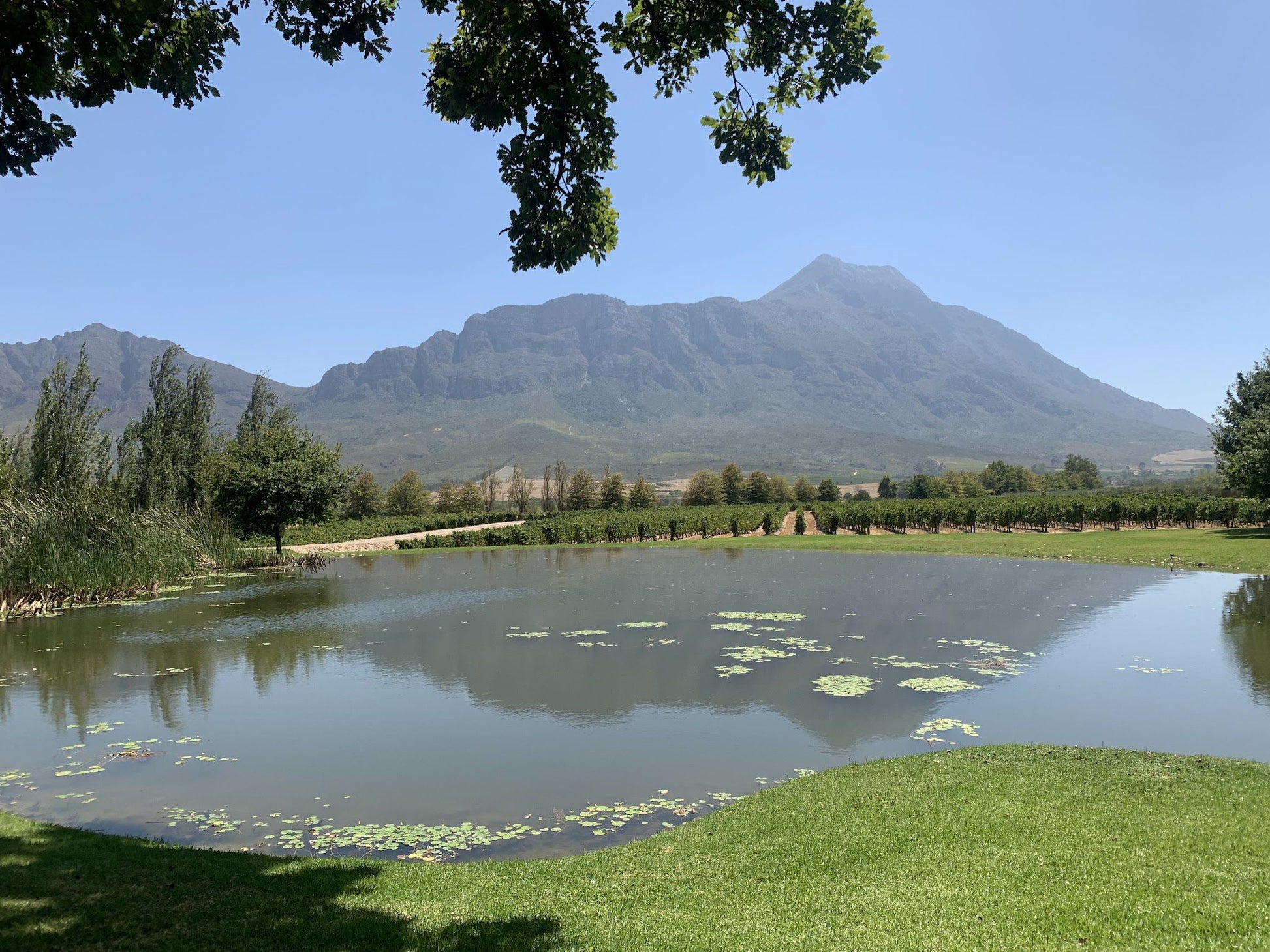  Saronsberg Wine Cellar