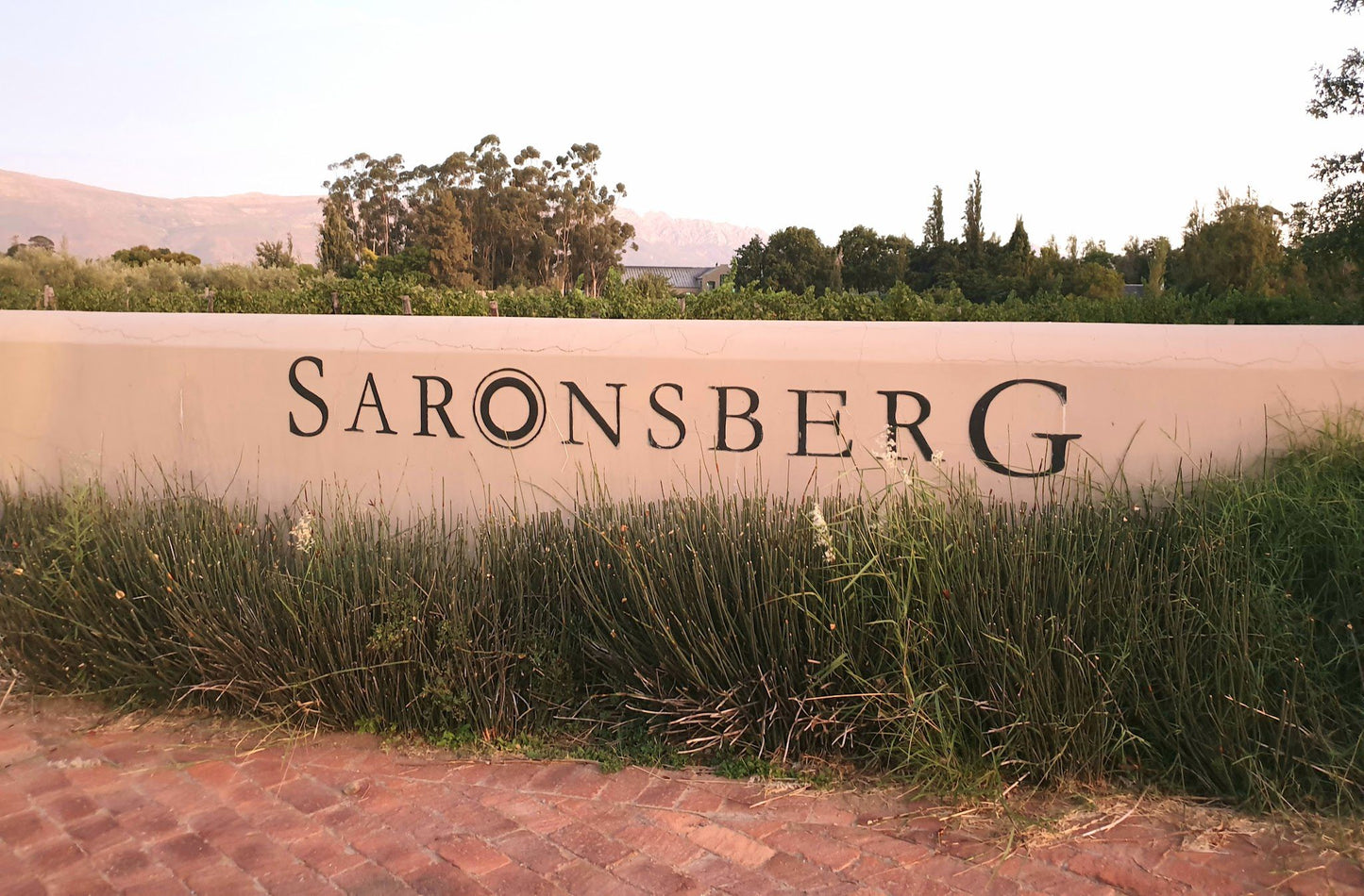  Saronsberg Wine Cellar