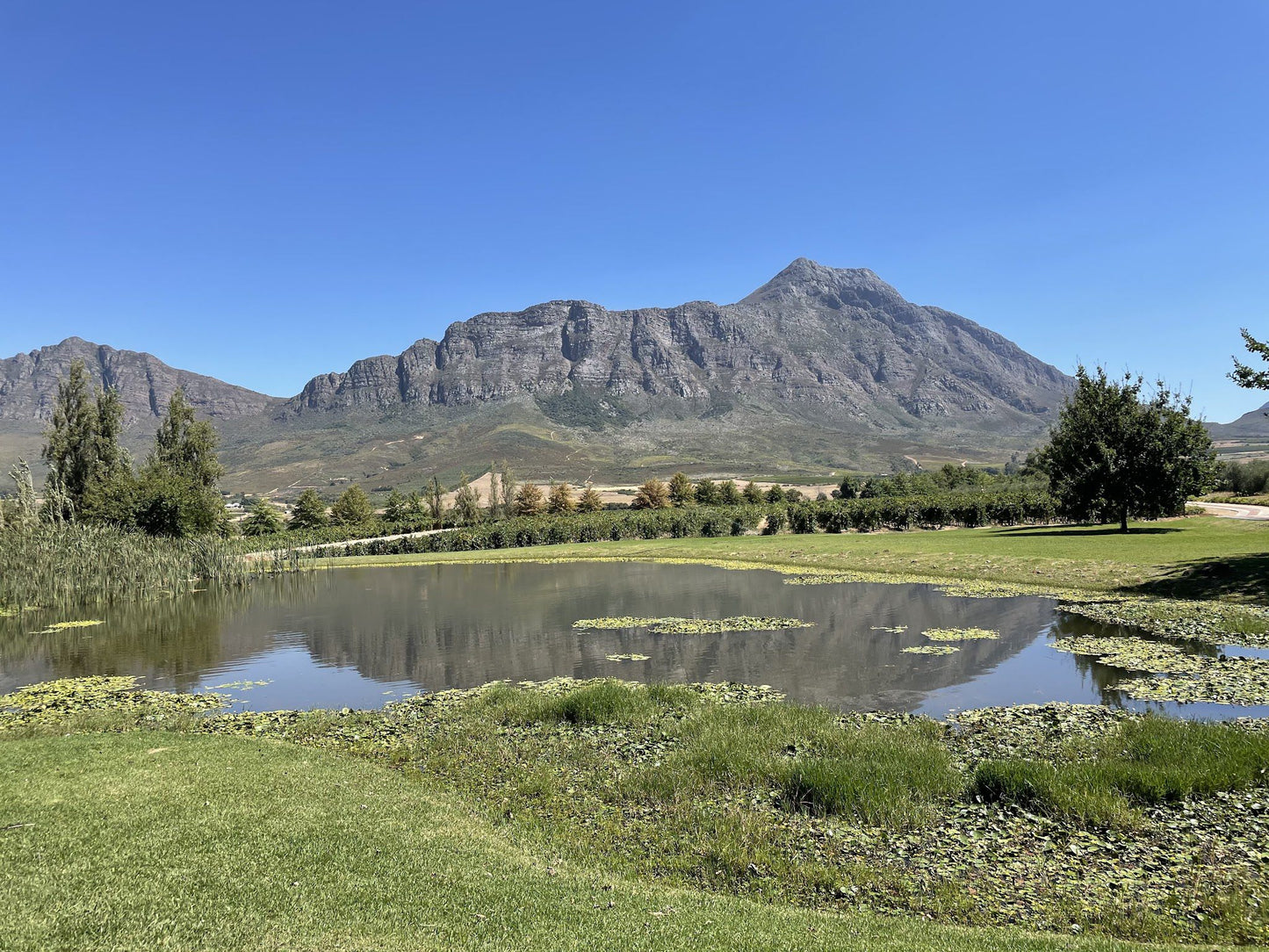  Saronsberg Wine Cellar