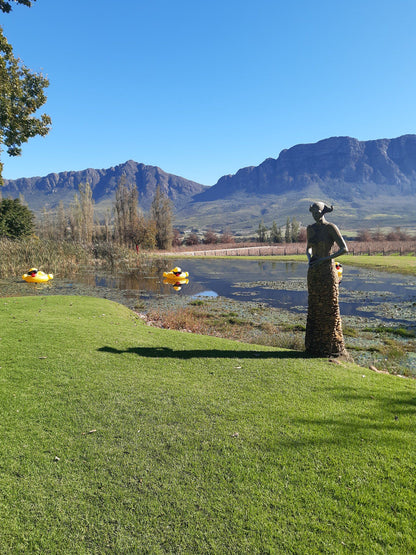  Saronsberg Wine Cellar