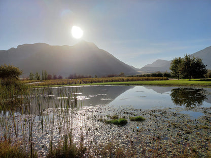  Saronsberg Wine Cellar