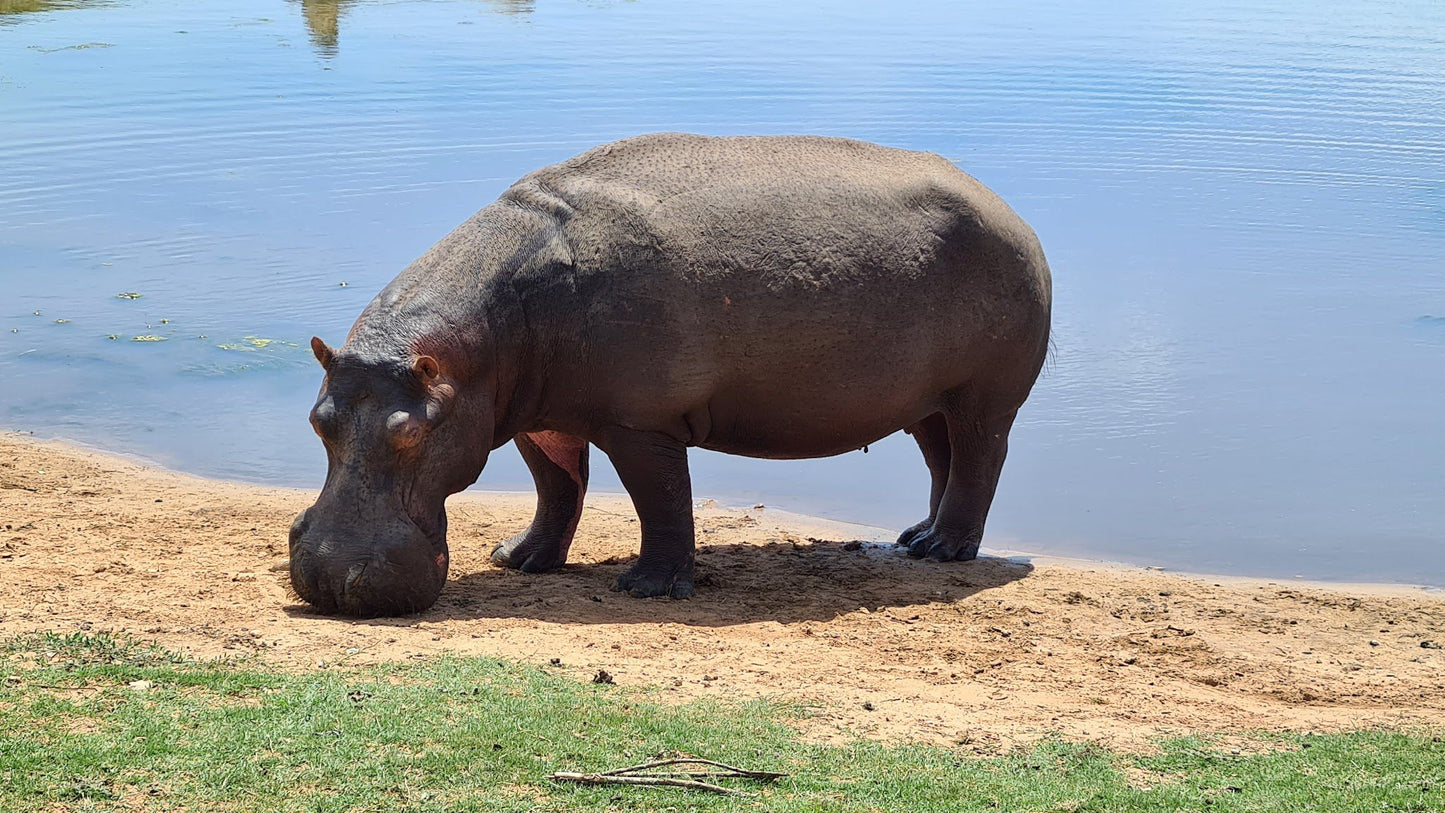  Schotia Safaris Private Game Reserve