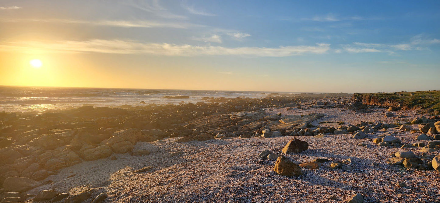  Seal Point Lighthouse