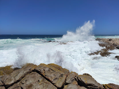  Seal Point Lighthouse