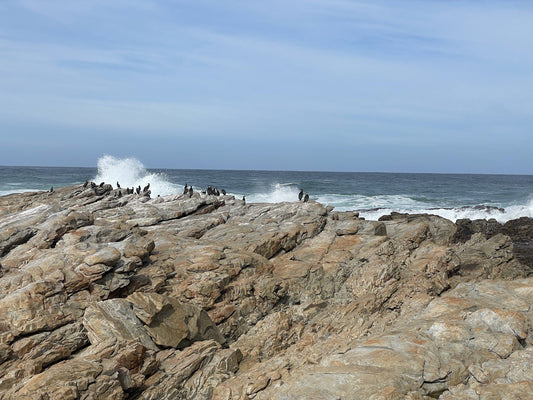  Seal Point Lighthouse