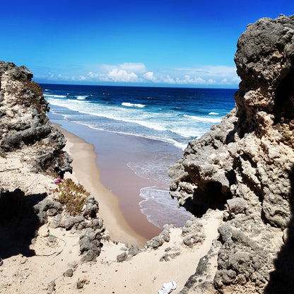  Sedgefield Lagoon Mouth