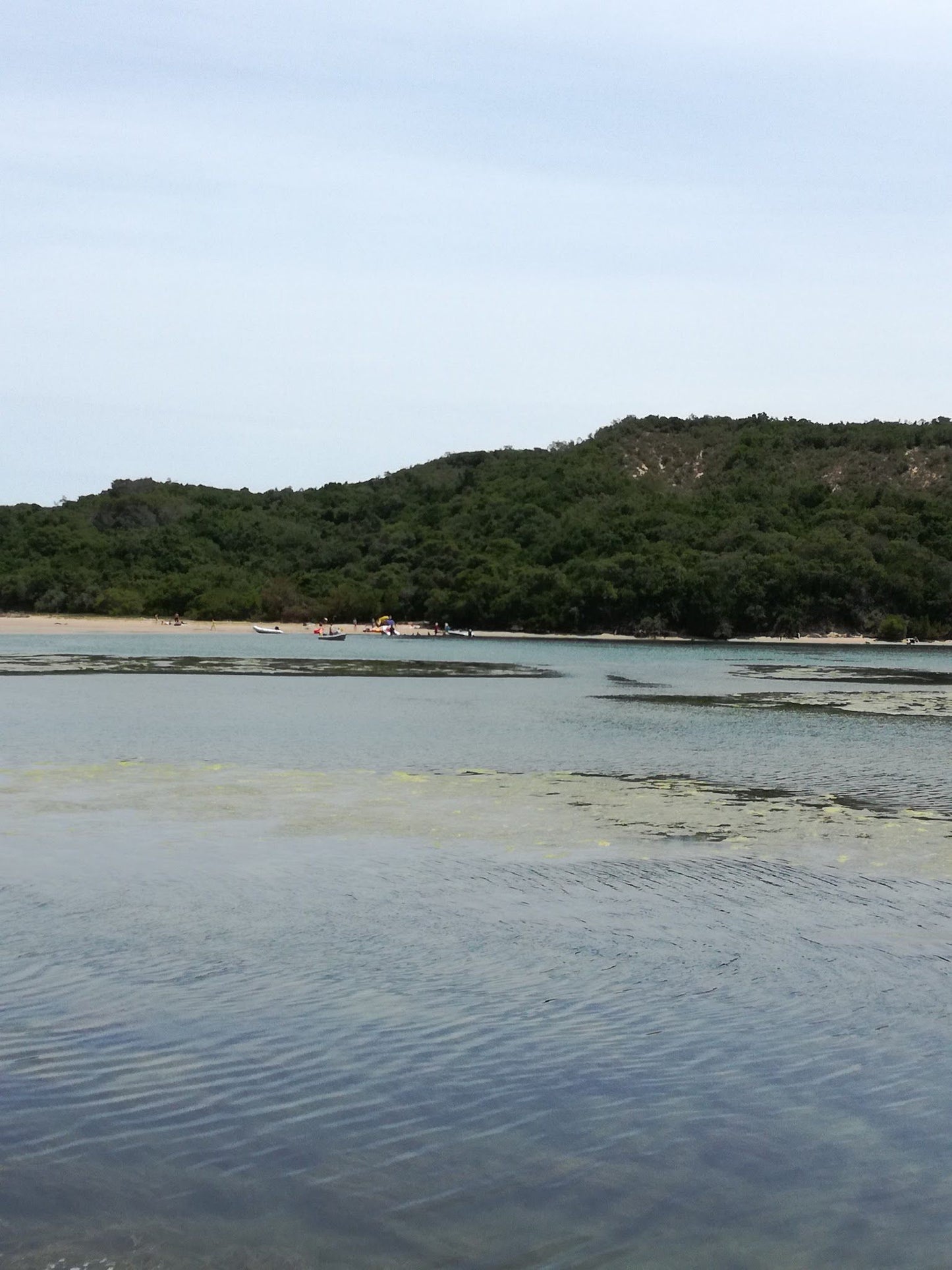  Sedgehill Lagoon View