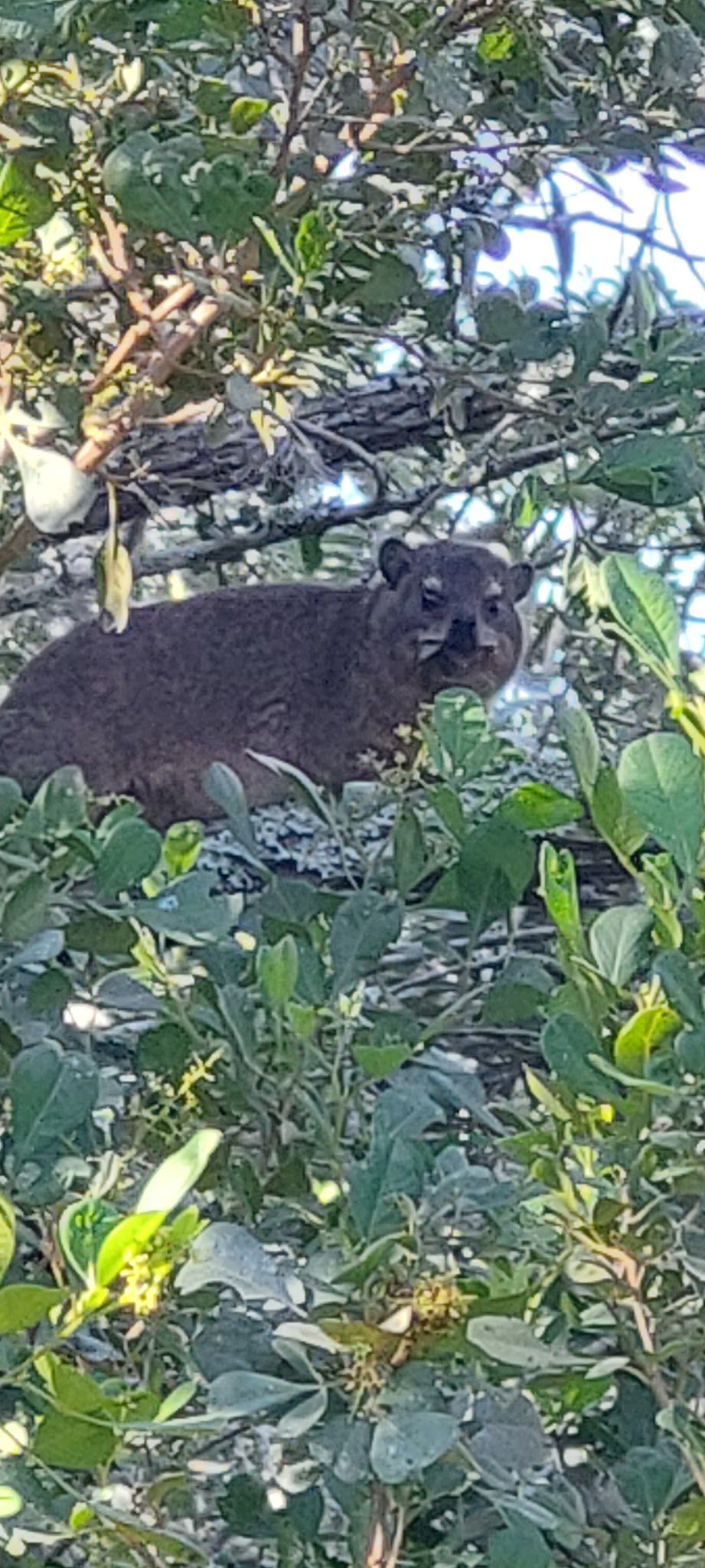  Settlers Park Nature Reserve