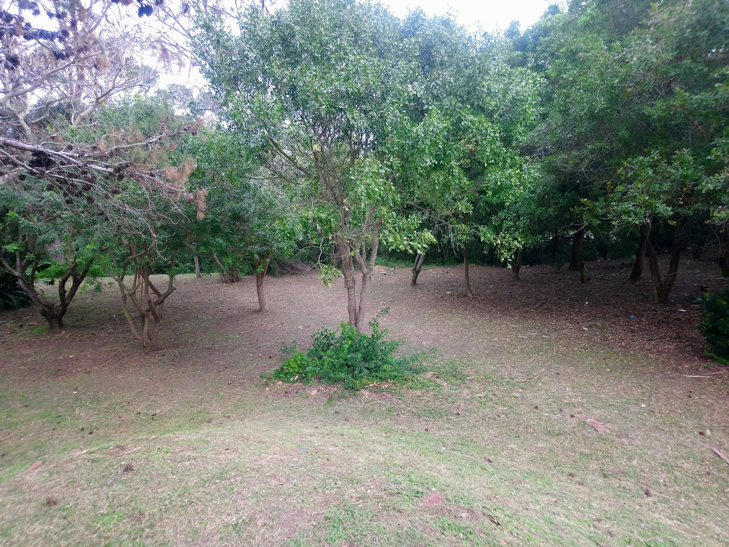  Settlers Park Nature Reserve