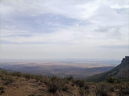  Settlers Park Nature Reserve