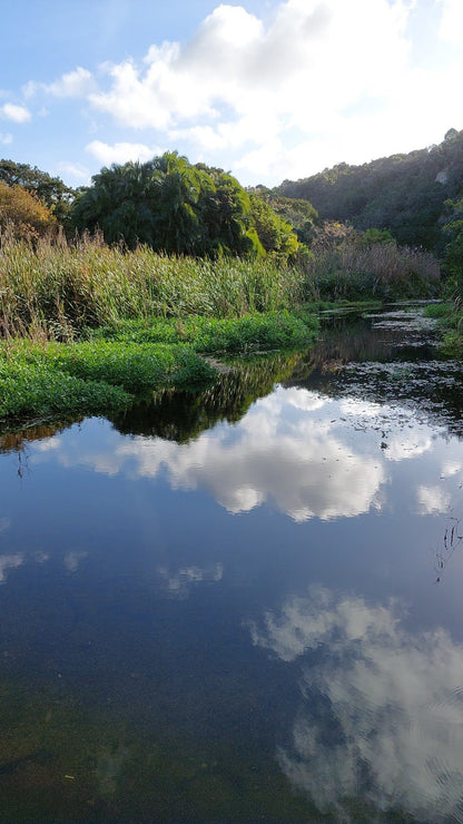  Settlers Park Nature Reserve