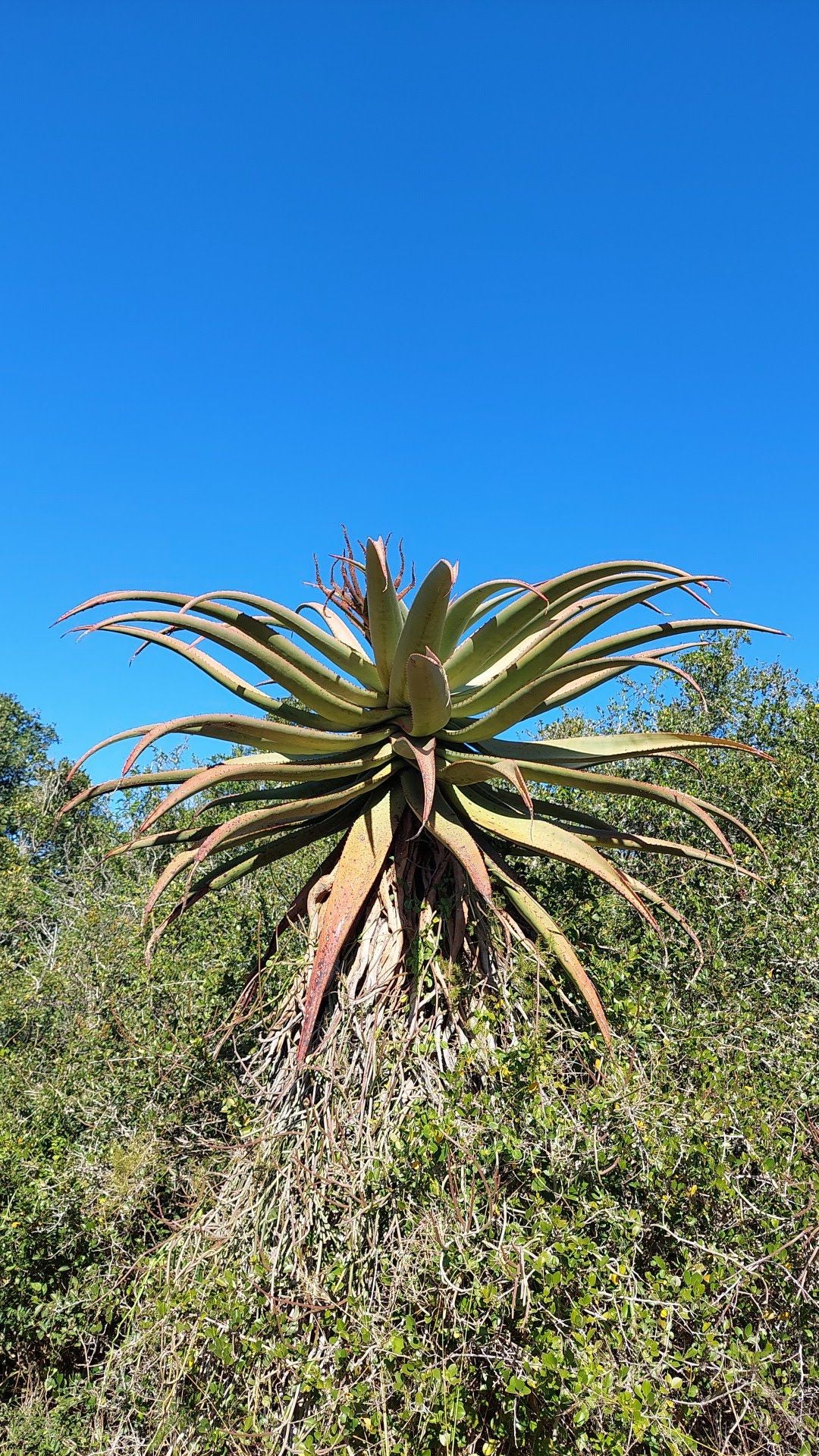  Settlers Park Nature Reserve