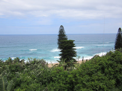  Sheffield Beach