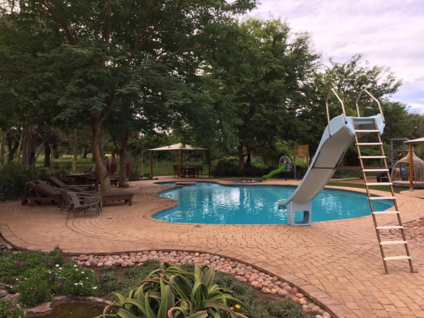 Shelanti Game Reserve Marken Limpopo Province South Africa Garden, Nature, Plant, Swimming Pool