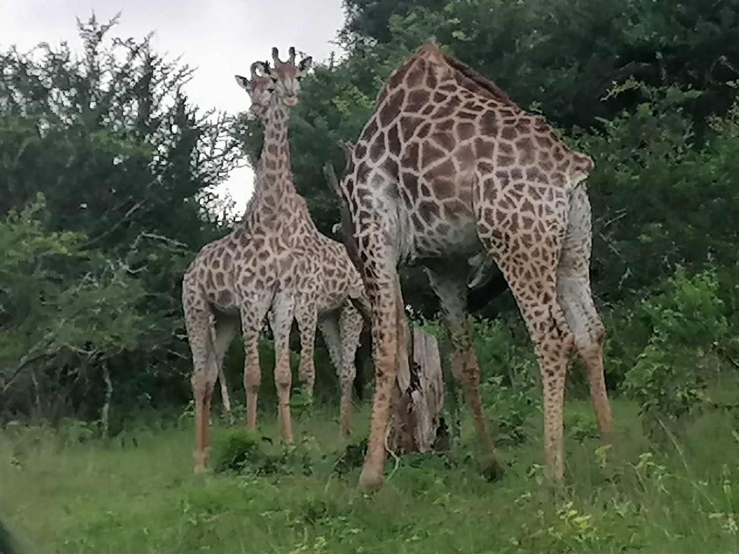  Shongweni Dam and Nature Reserve