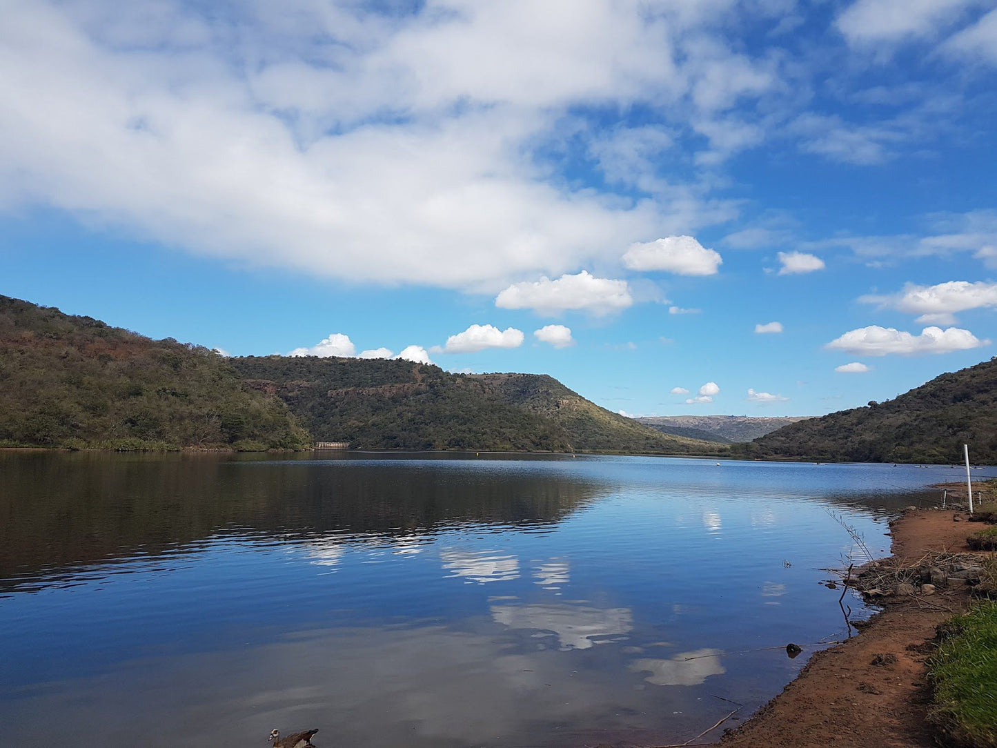  Shongweni Dam and Nature Reserve