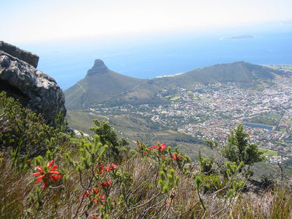 Signal Hill