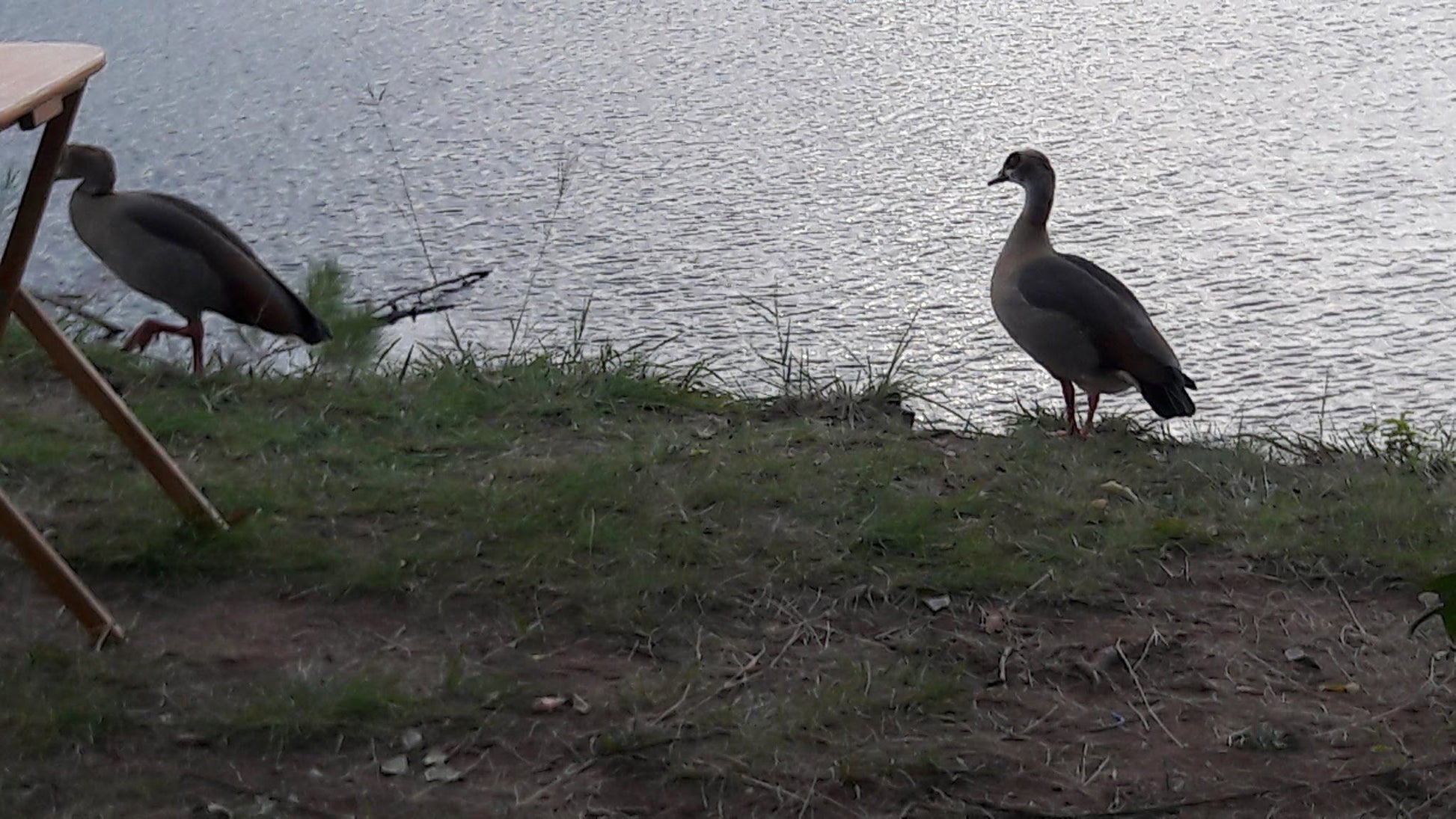  Silverglen Nature Reserve