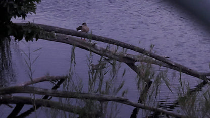  Silverglen Nature Reserve