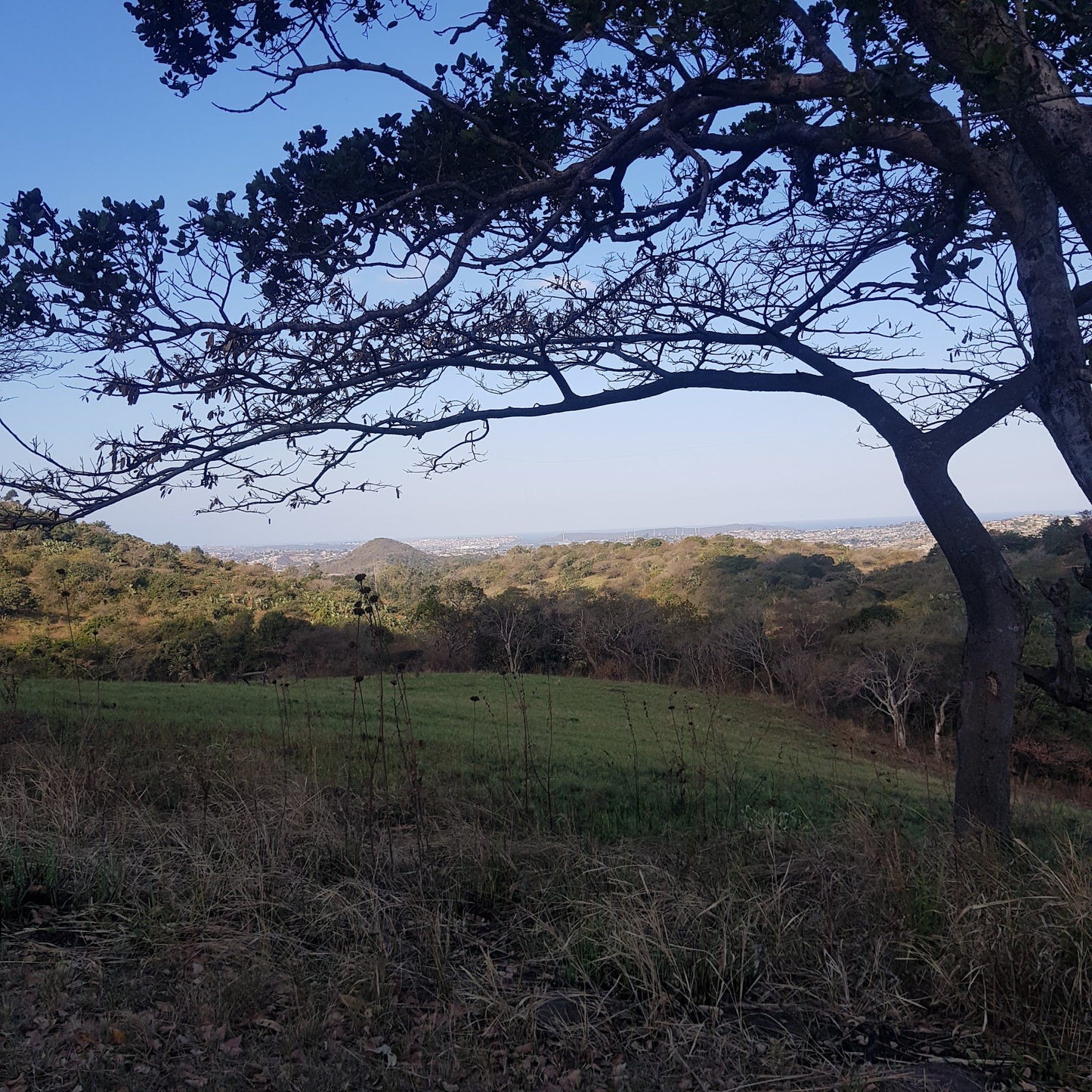  Silverglen Nature Reserve