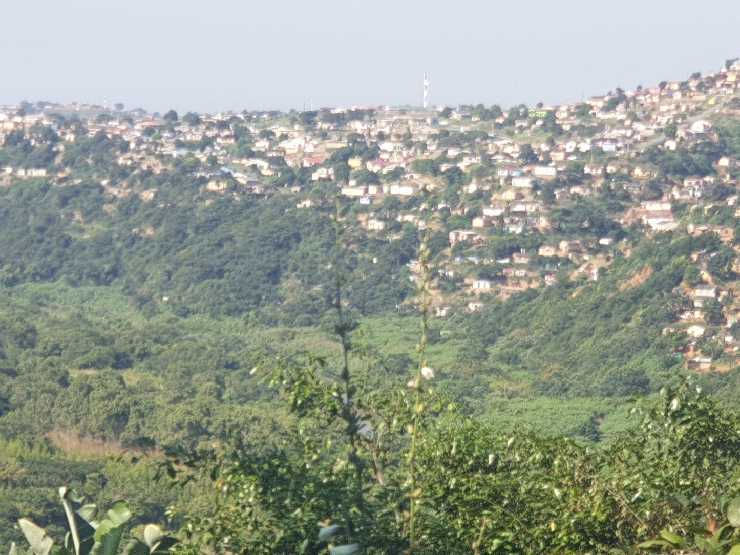  Silverglen Nature Reserve