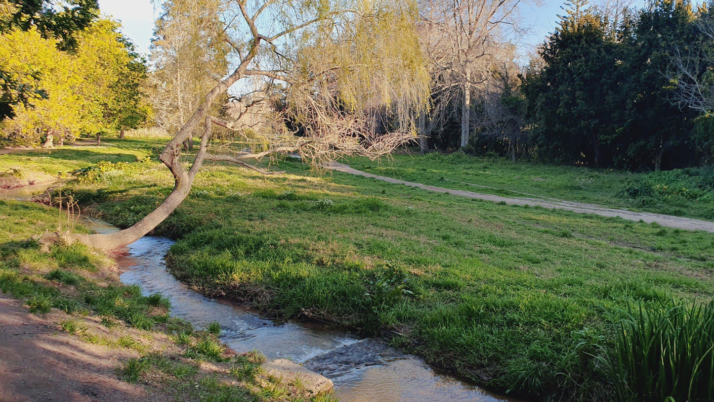  Silverhurst Trail