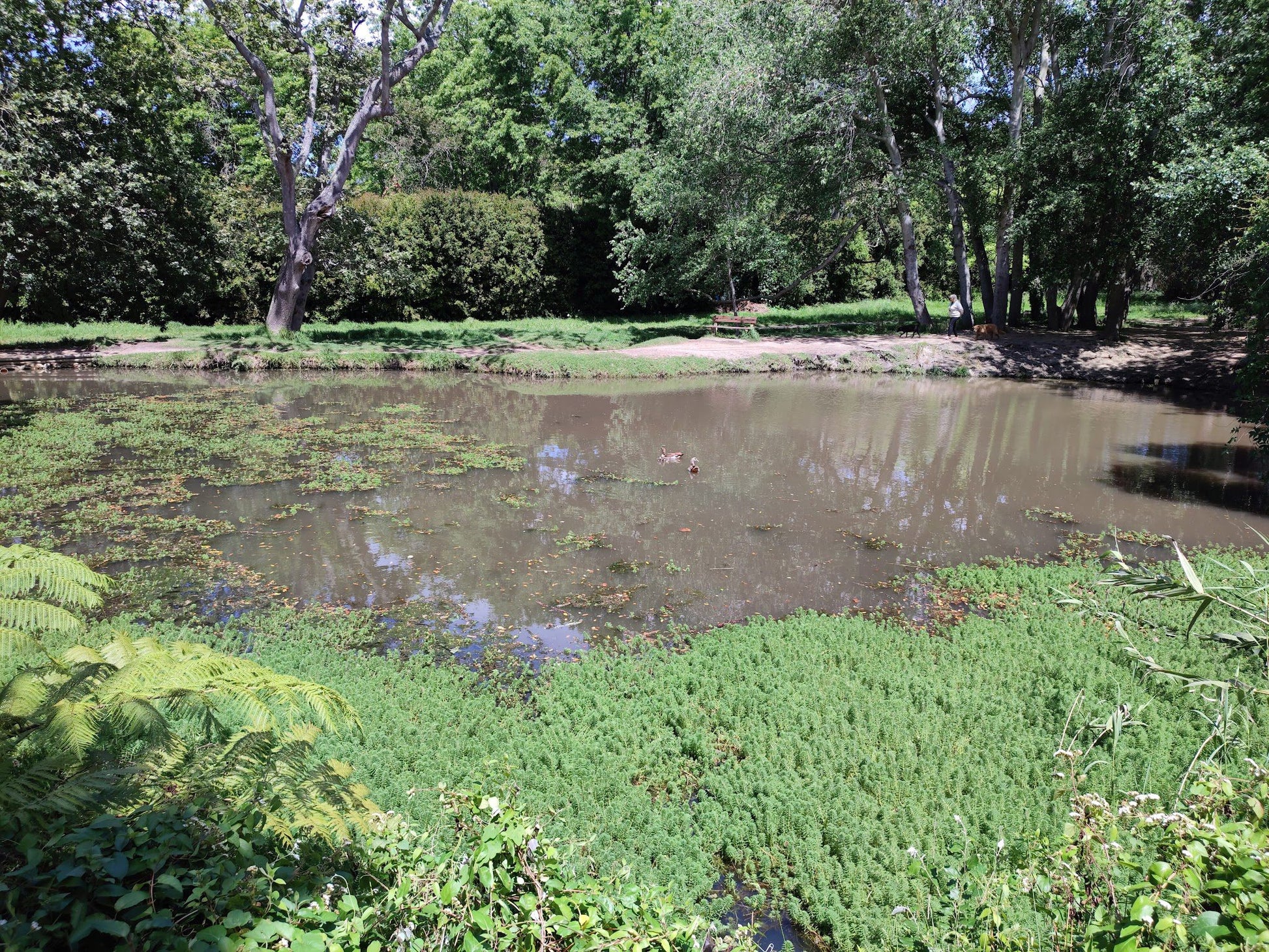  Silverhurst Trail