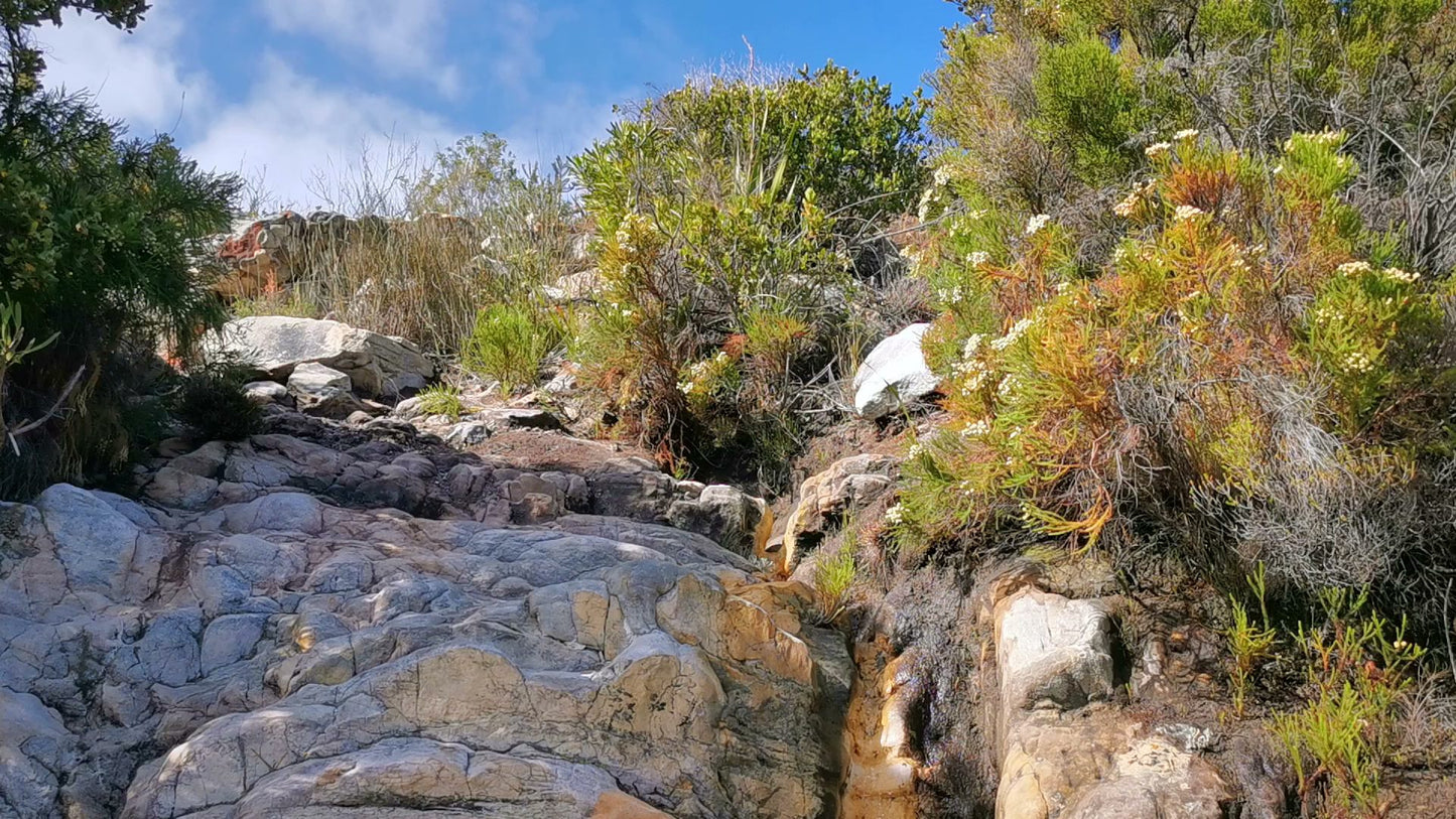  Silvermine Hiking Trail