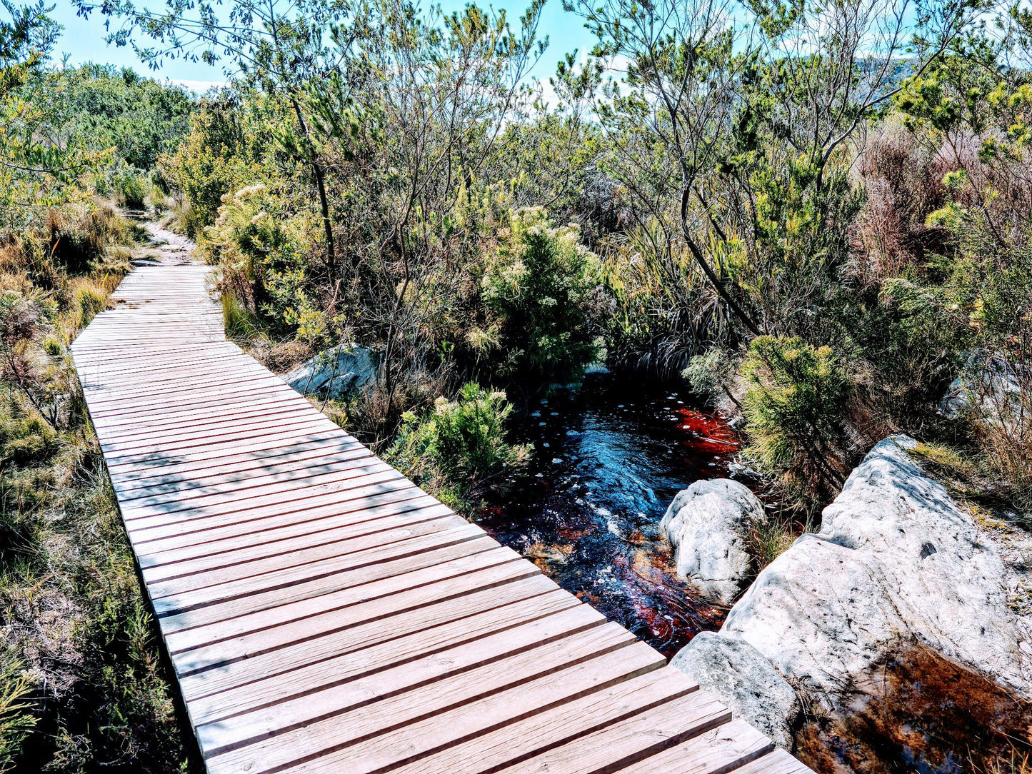  Silvermine Hiking Trail