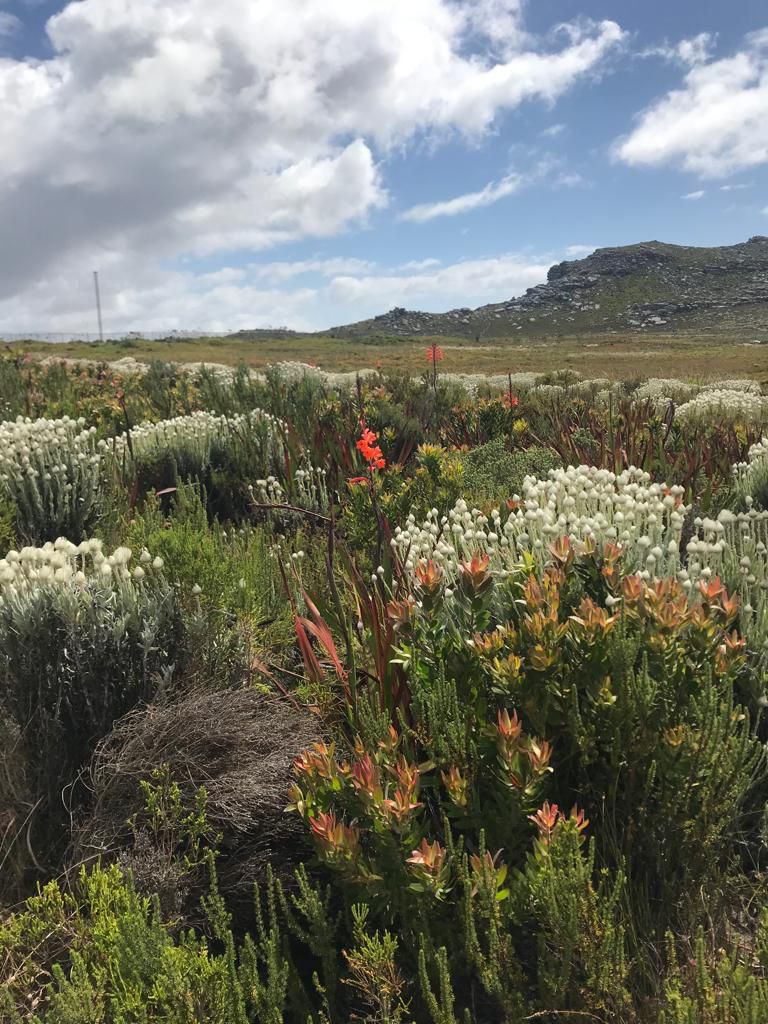  Silvermine Hiking Trail