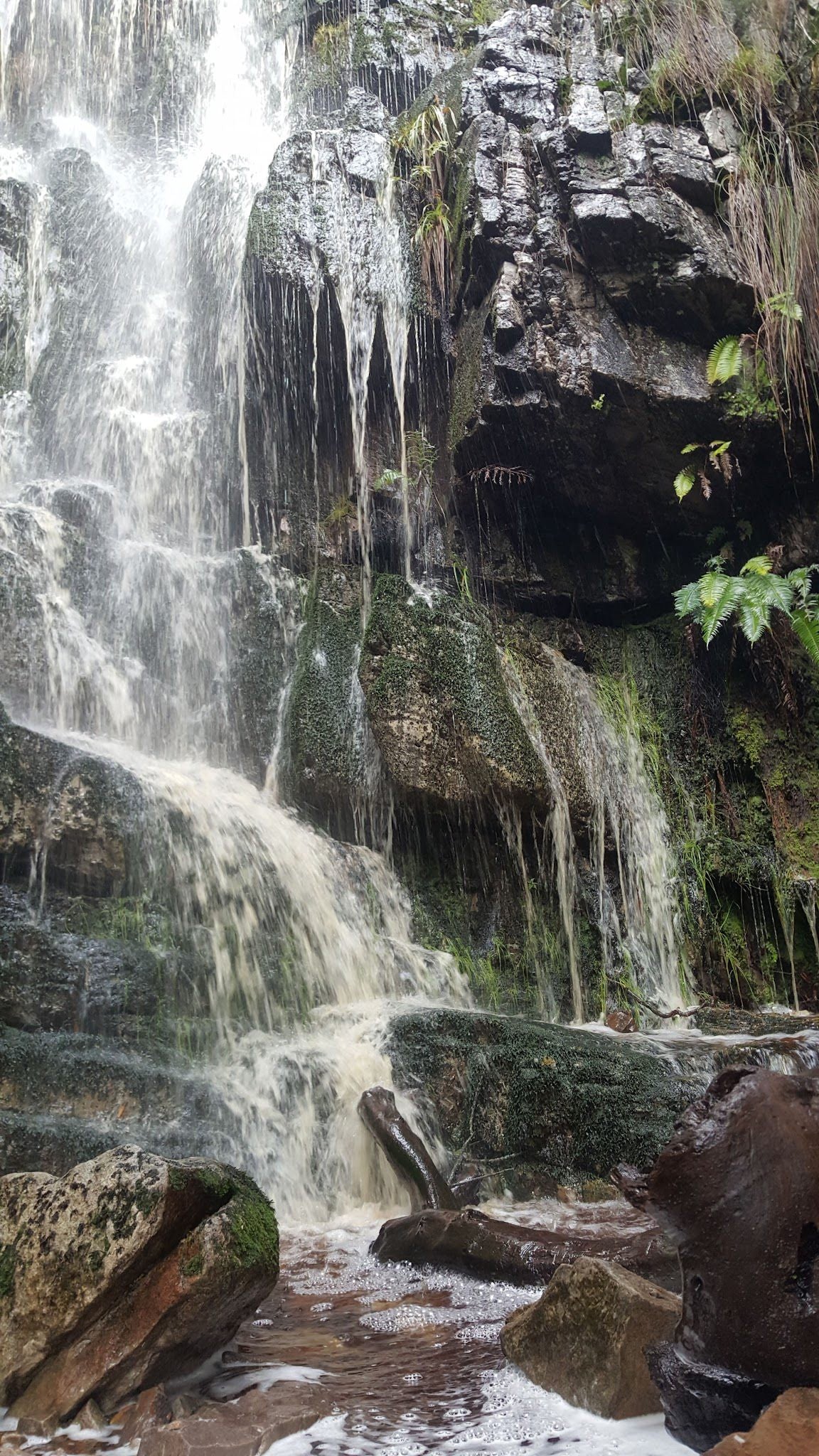  Silvermine Hiking Trail