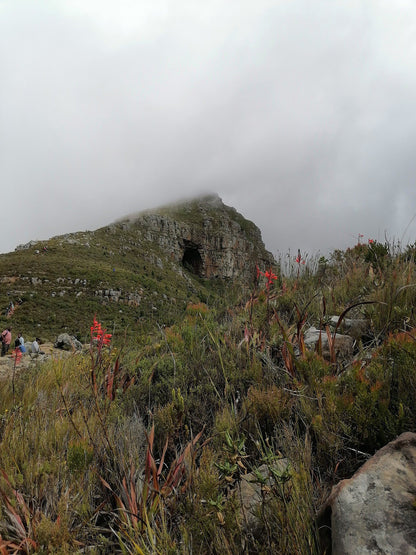  Silvermine Hiking Trail