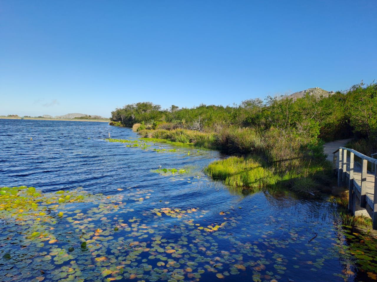  Silvermine Hiking Trail